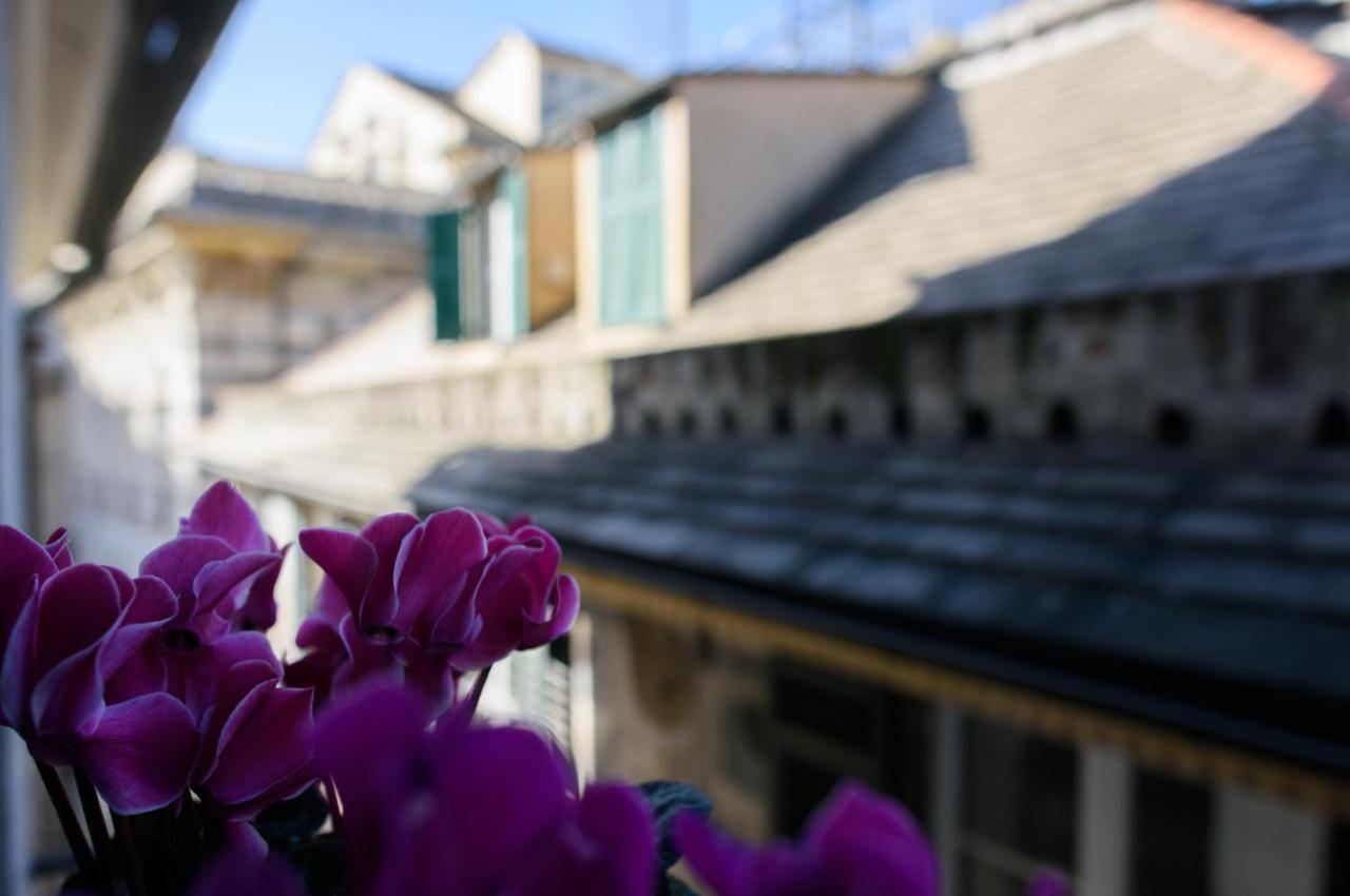 B&B Piccoli Leoni Génova Exterior foto
